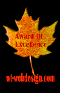 WT-Designs Web Award