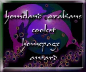 Homeland Arabians Coolest Web Page Award