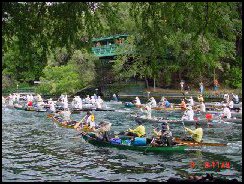 Aerating the water in the San Marcos River at Aquarena Springs