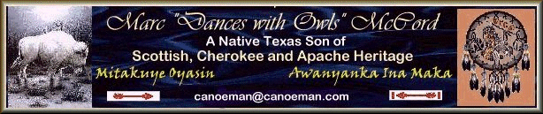 Dances with Owls masthead