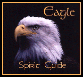 Eagle Spirit Guide