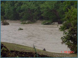 Guadalupe River at FM 3351 near Bergheim