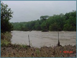 Guadalupe River looking downriver at FM 3351 near Bergheim