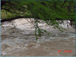 Rebecca Creek Crossing as flood waters rage on second day of the flood
