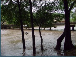 4th Crossing on River Road at Sattler