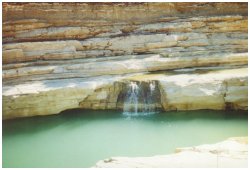 A new waterfall created by flood erosion