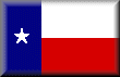 State of Texas Web Site